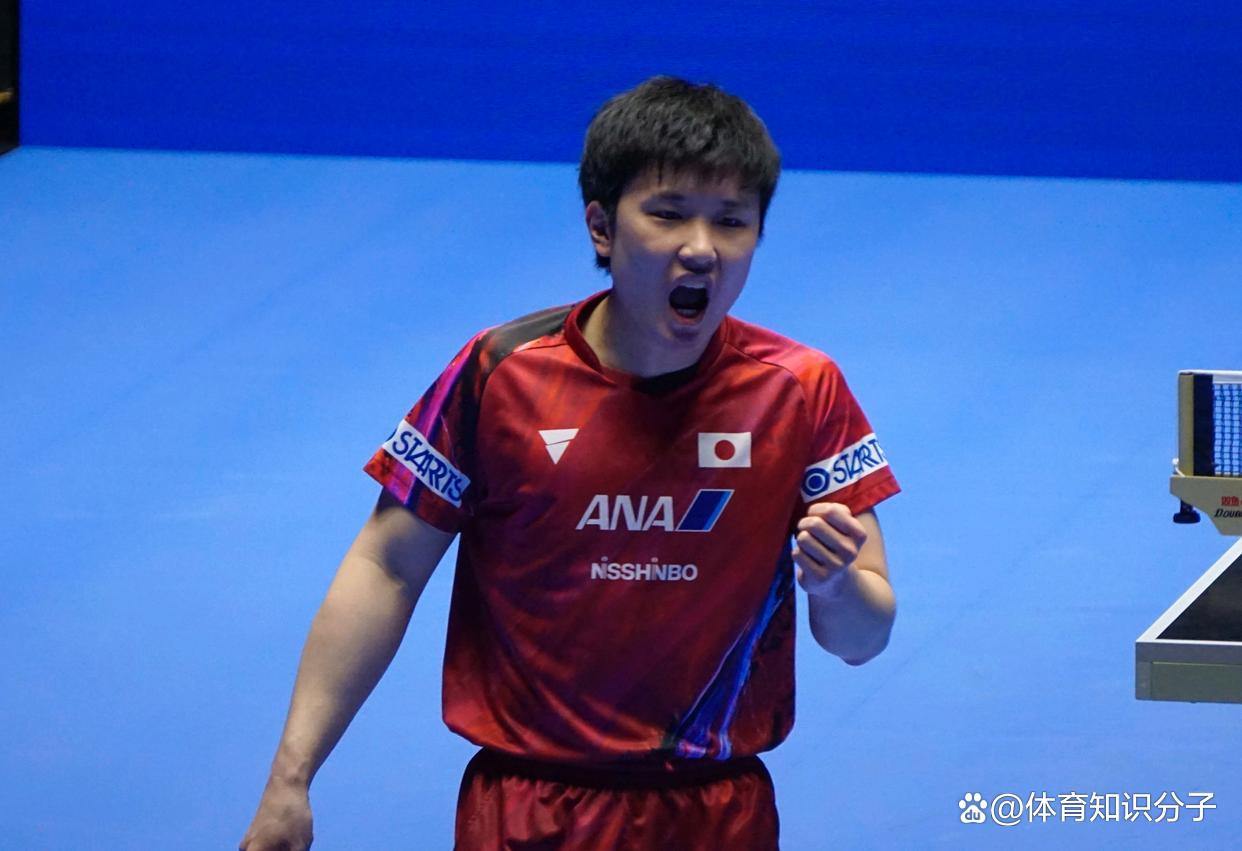 波兰队逆转德国队,张本智和状态火热 波兰队逆转德国队,张本智和状态火热