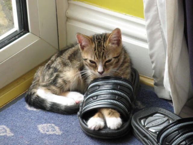 西决生死战，阿尔瓦雷斯一战封神，西班牙勇挫比利亚雷亚尔