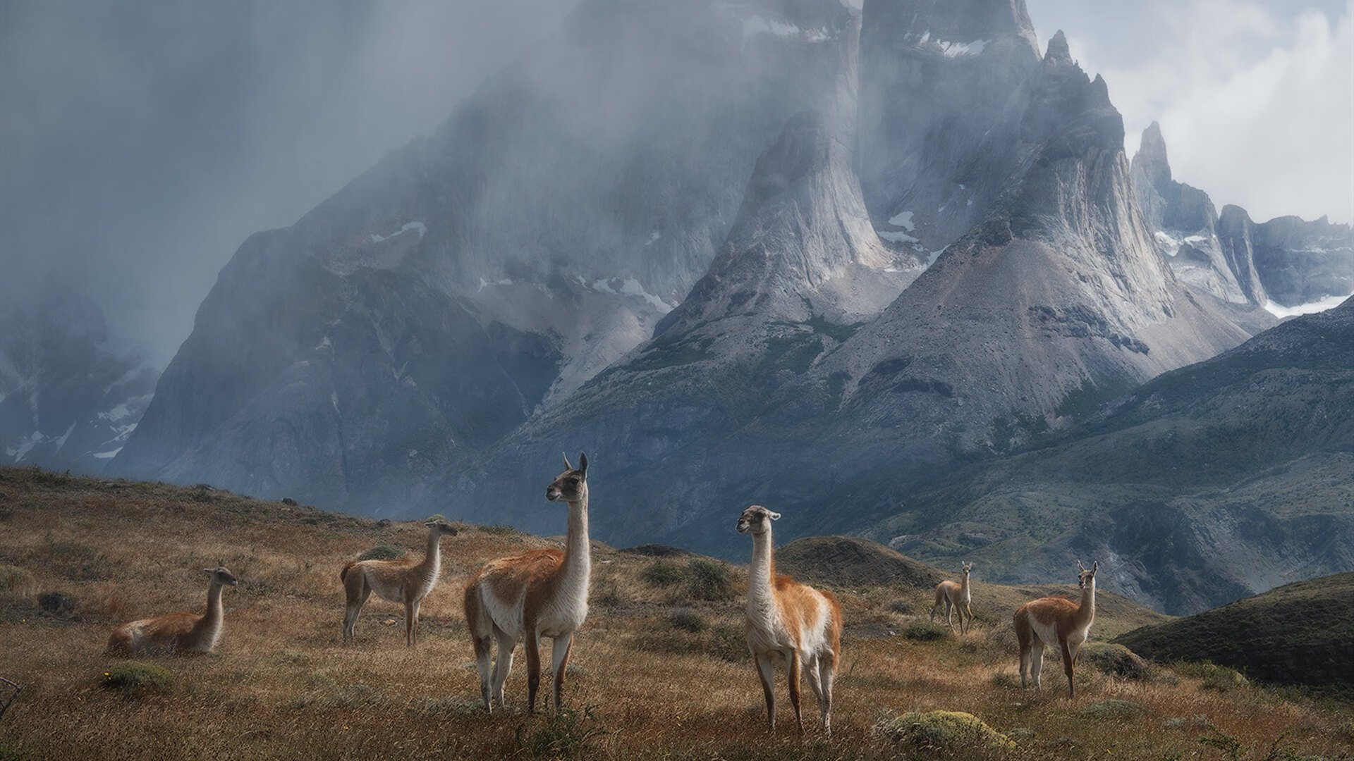 暗夜烽火,迪亚斯在排名血战中淬炼真金