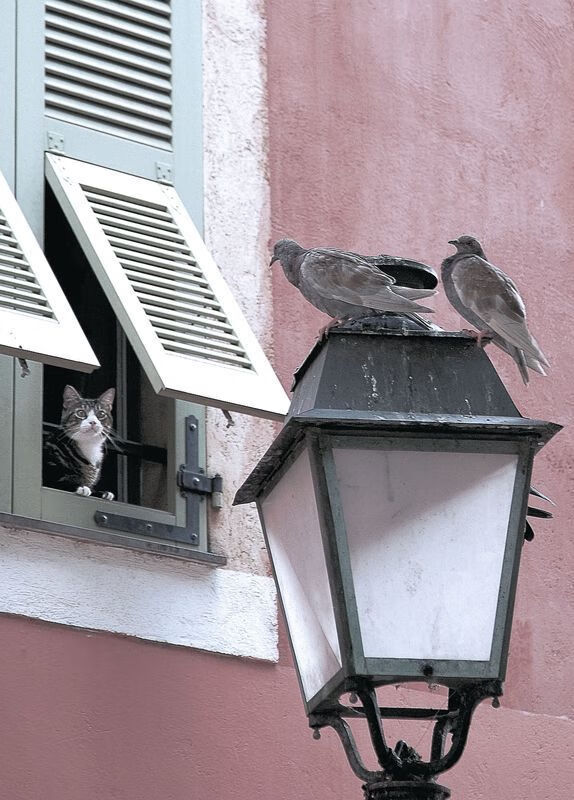 绝唱与新章，阿圭罗压哨绝杀，定义里昂唯一之夜