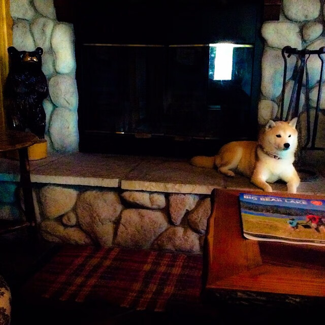 刃破铁幕,杜兰特49分风暴眼,广厦立体火网冰封辽宁卫冕路