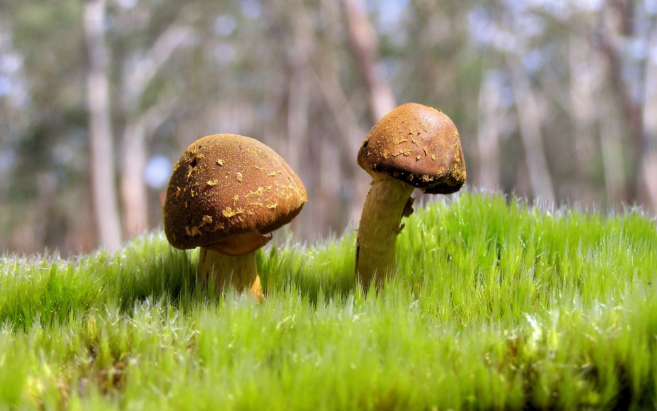 欧冠淘汰赛之夜，班凯罗的进攻是一卷白纸黑字的屠神案卷