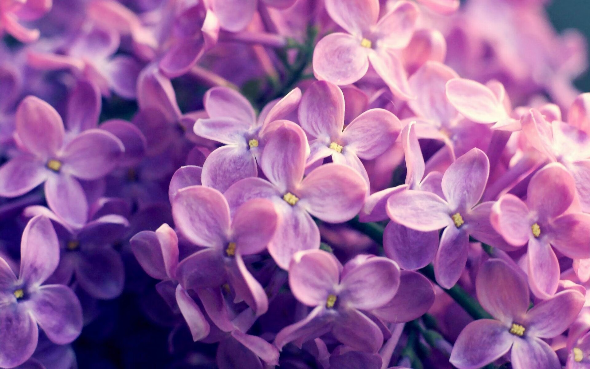 跨洋绝响，寒冰射手抢七窒息，黄蜂奇袭淘汰辽宁震动亚洲篮坛