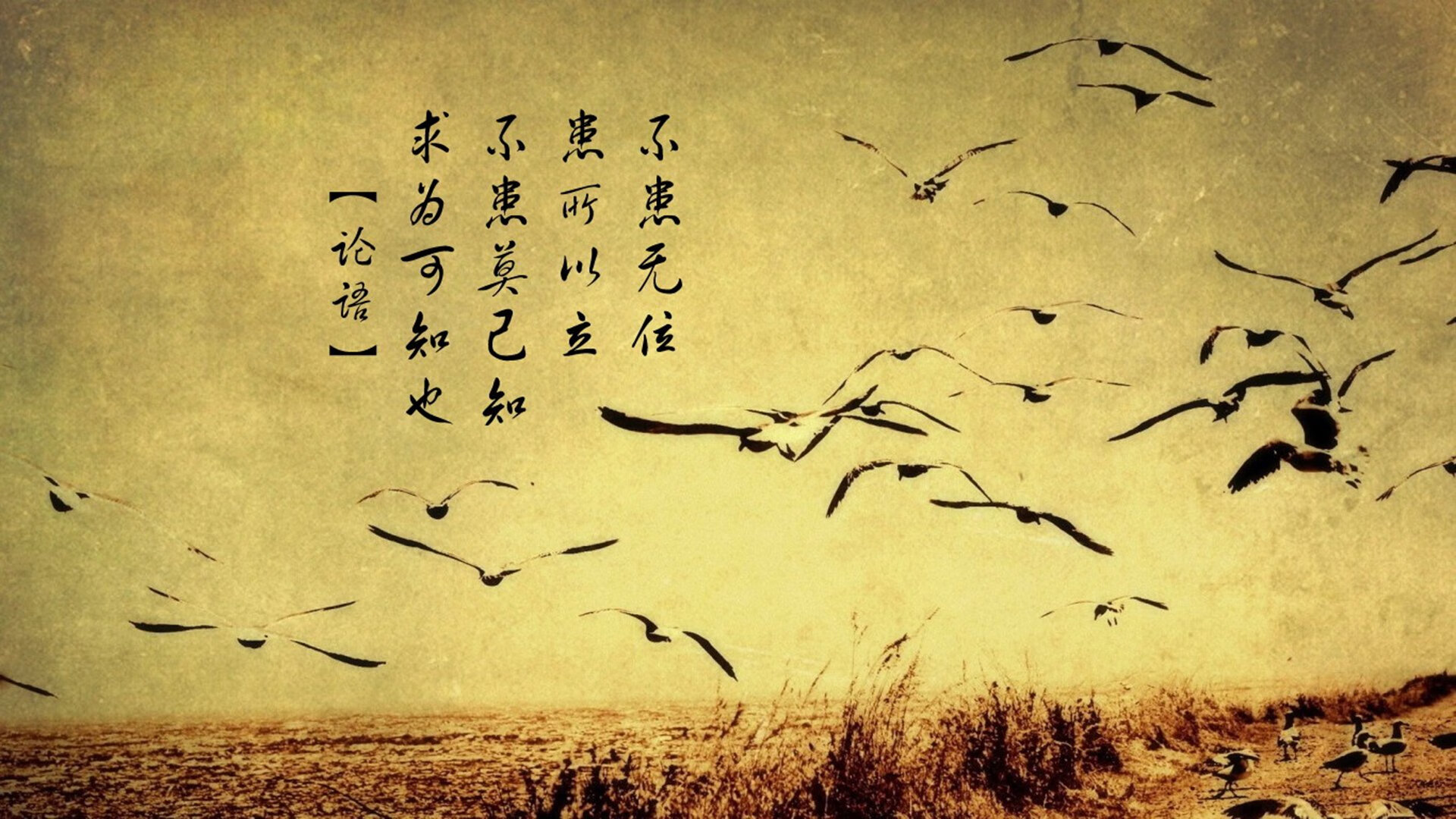 法比尼奥闪电破门击穿防线，巴萨铁血封锁令玻利维亚绝望窒息