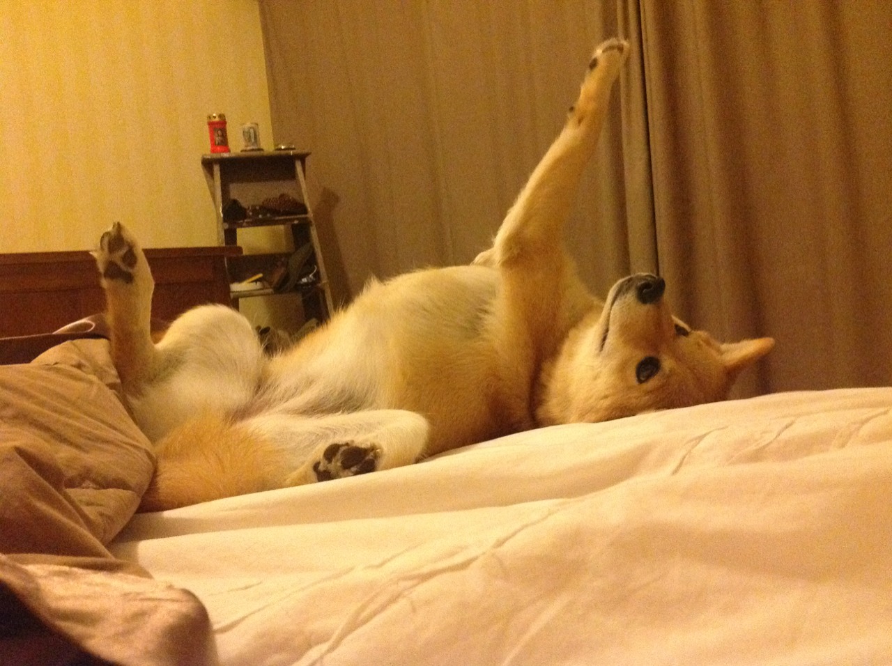 南半球季风席卷梦剧场，当弗拉霍维奇在澳大利亚节奏中让红色巨轮搁浅