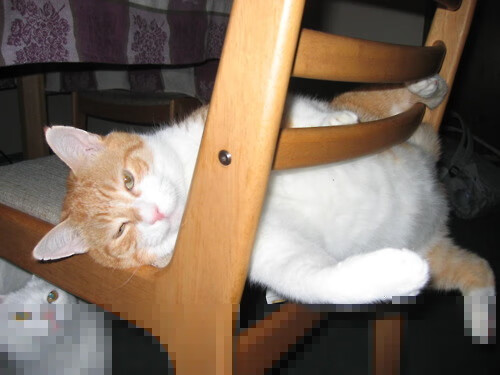 奥运周期关键战之夜，字母哥的史诗证明，一人扛起一个国家