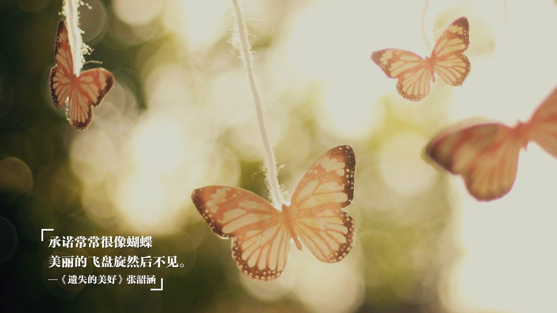 夜幕下的速度传奇,奥亚尔萨瓦尔在F1新赛季揭幕战中书写唯一篇章