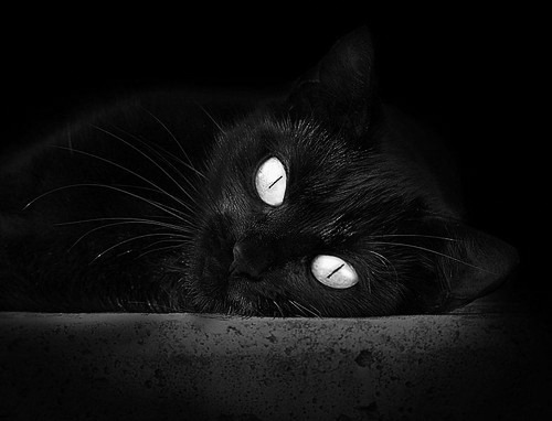 2026世界杯之夜,窒息时刻,贝林厄姆用一记点球定义新时代