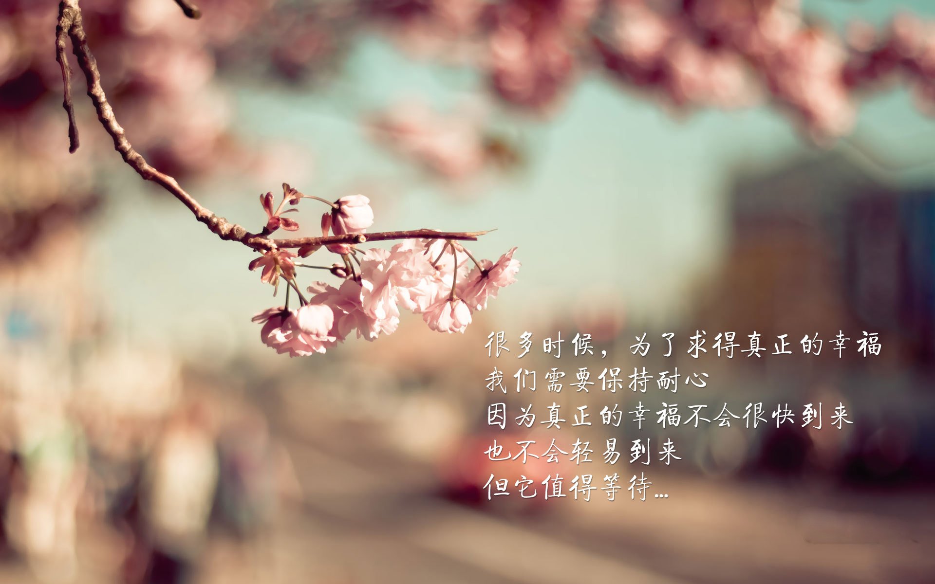 沙特赛道的红色闪电，奥纳纳如何在一场地缘隐喻中接管F1争冠之战