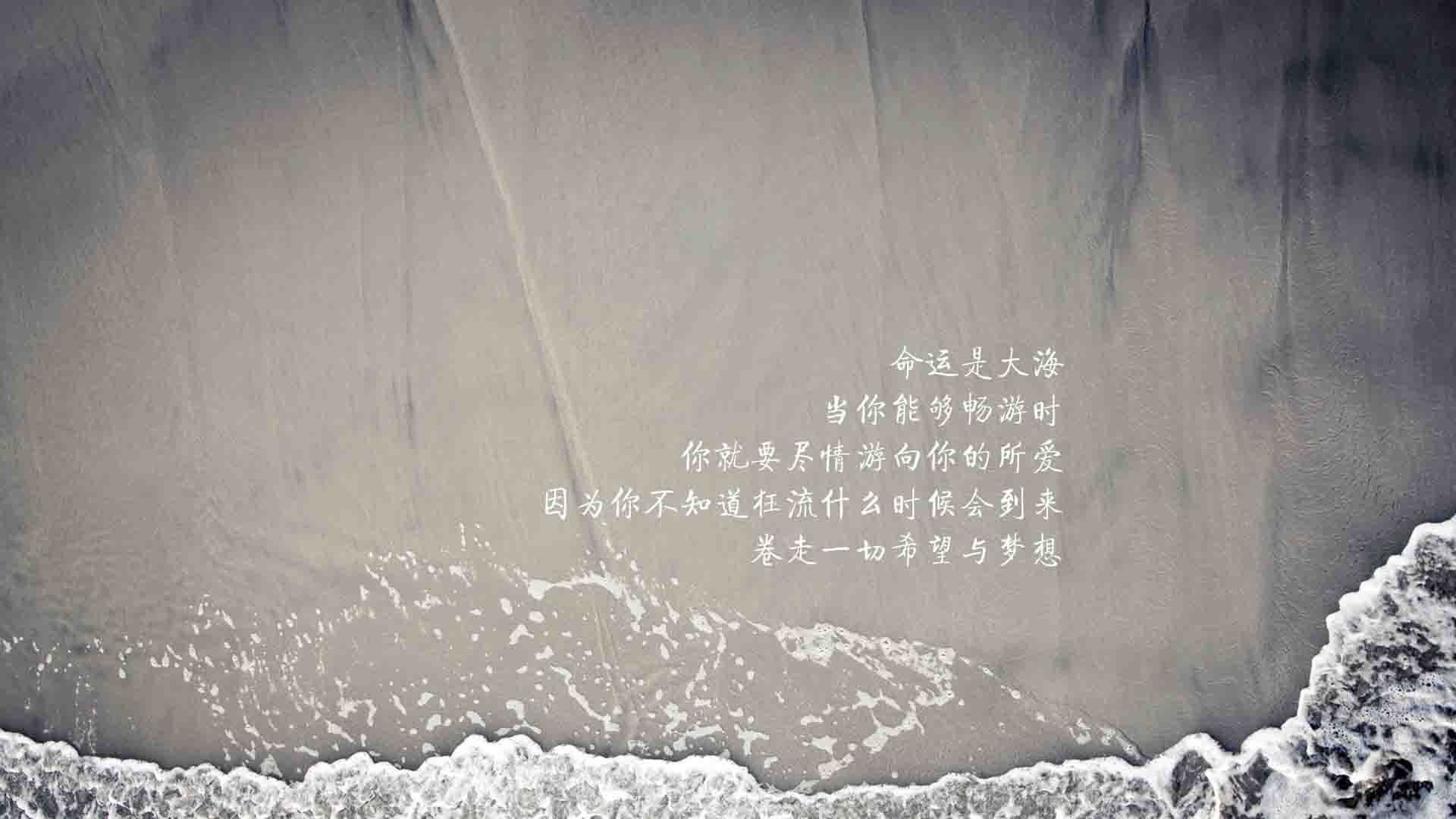 钢铁防线扭转乾坤！范戴克一夫当关，佛罗伦萨欧冠苦战力克多特蒙德